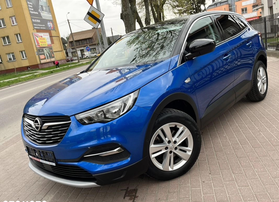 Opel Grandland X cena 61900 przebieg: 173555, rok produkcji 2018 z Działdowo małe 781